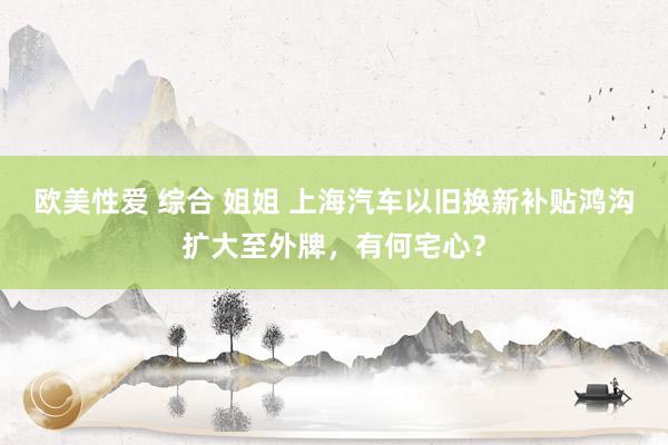 欧美性爱 综合 姐姐 上海汽车以旧换新补贴鸿沟扩大至外牌，有何宅心？