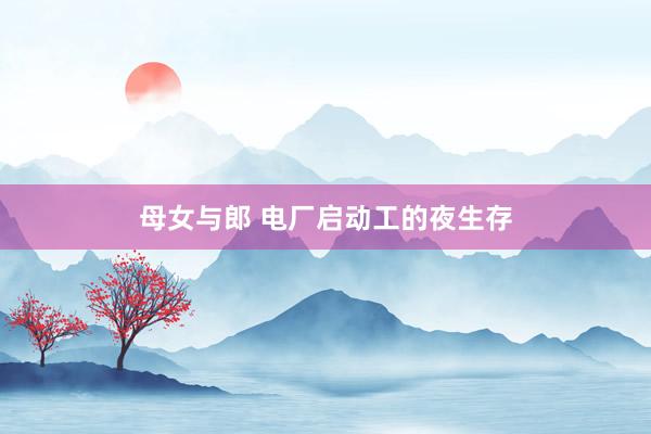母女与郎 电厂启动工的夜生存