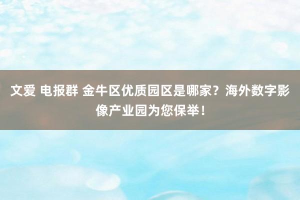 文爱 电报群 金牛区优质园区是哪家？海外数字影像产业园为您保举！