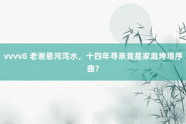 vvvv8 老谢悬河泻水，十四年寻亲竟是家庭垮塌序曲？
