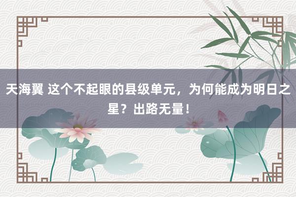 天海翼 这个不起眼的县级单元，为何能成为明日之星？出路无量！