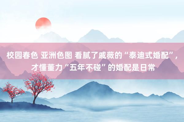 校园春色 亚洲色图 看腻了戚薇的“泰迪式婚配”, 才懂董力“五年不碰”的婚配是日常