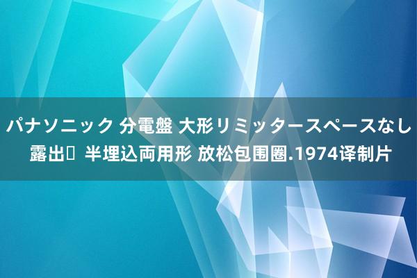 パナソニック 分電盤 大形リミッタースペースなし 露出・半埋込両用形 放松包围圈.1974译制片