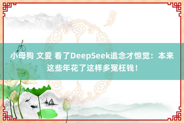 小母狗 文爱 看了DeepSeek追念才惊觉：本来这些年花了这样多冤枉钱！