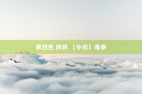 第四色 婷婷 【中药】毒参
