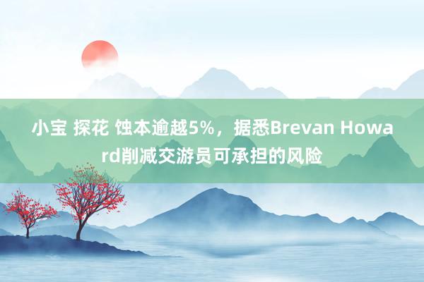 小宝 探花 蚀本逾越5%，据悉Brevan Howard削减交游员可承担的风险
