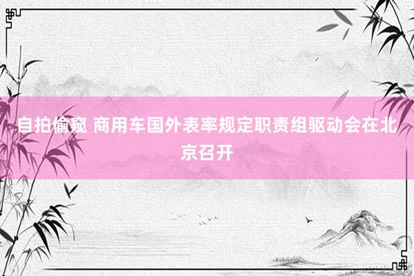 自拍偷窥 商用车国外表率规定职责组驱动会在北京召开